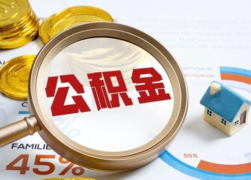 七台河2025年政策调整对个人影响综合解析